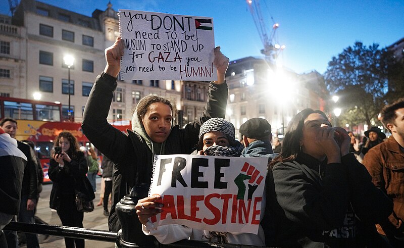File:To Stand Up For Gaza You Only Have to be Human (53266073745).jpg